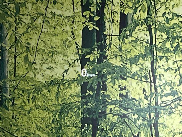 CX-8(新潟県新潟市東区)