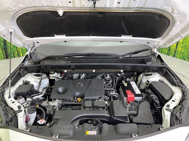 ハリアー(新潟県新潟市東区)