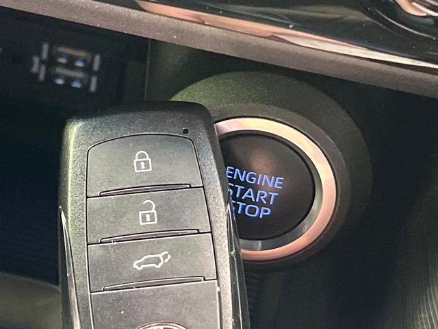 ハリアー(新潟県新潟市東区)