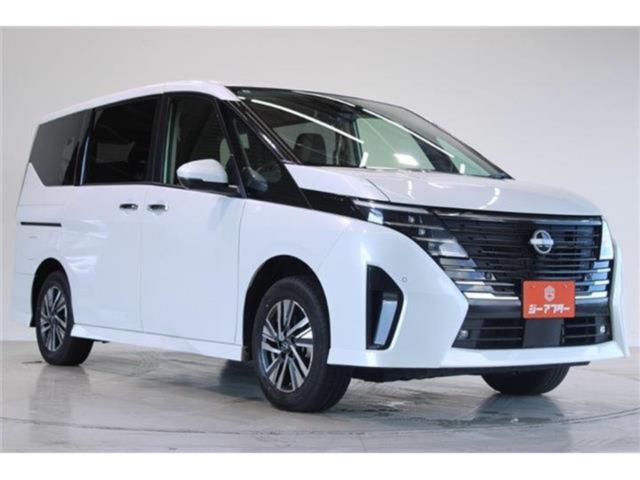 セレナ（新潟県新潟市東区）画像8