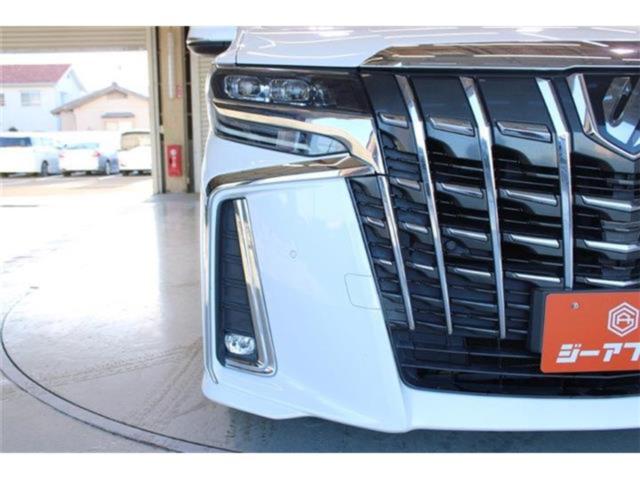 アルファード(新潟県新潟市東区)