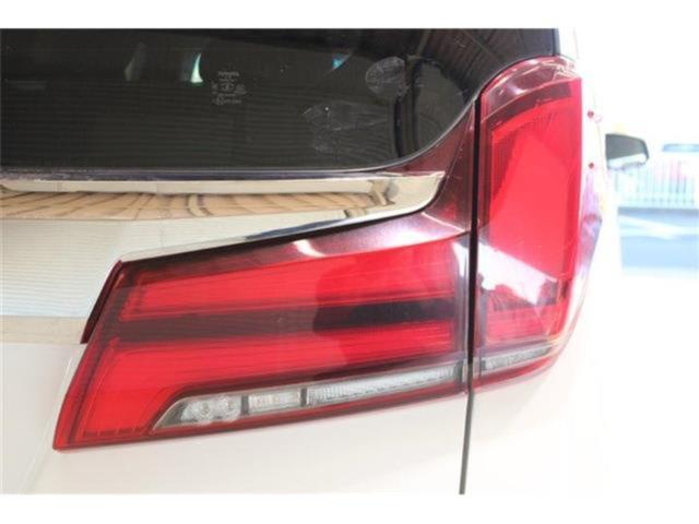 アルファード(新潟県新潟市東区)