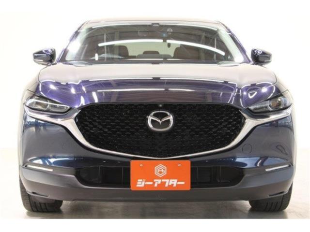 ＣＸ－３０（新潟県新潟市東区）画像6