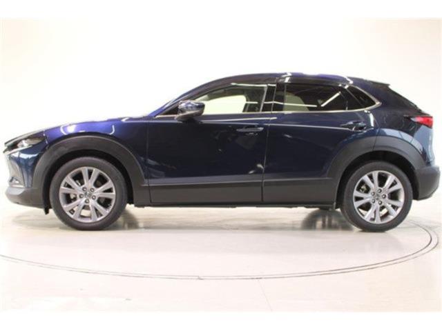 ＣＸ－３０（新潟県新潟市東区）画像8