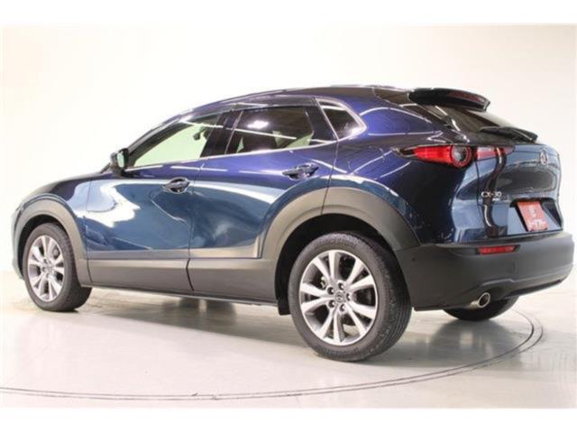 ＣＸ－３０（新潟県新潟市東区）画像9