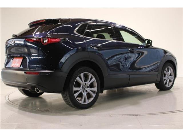 ＣＸ－３０（新潟県新潟市東区）画像11