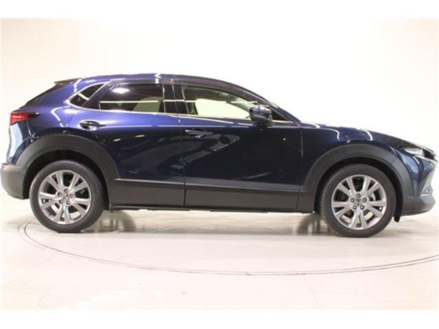 ＣＸ－３０（新潟県新潟市東区）画像12