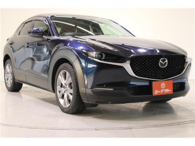 ＣＸ－３０（新潟県新潟市東区）画像13