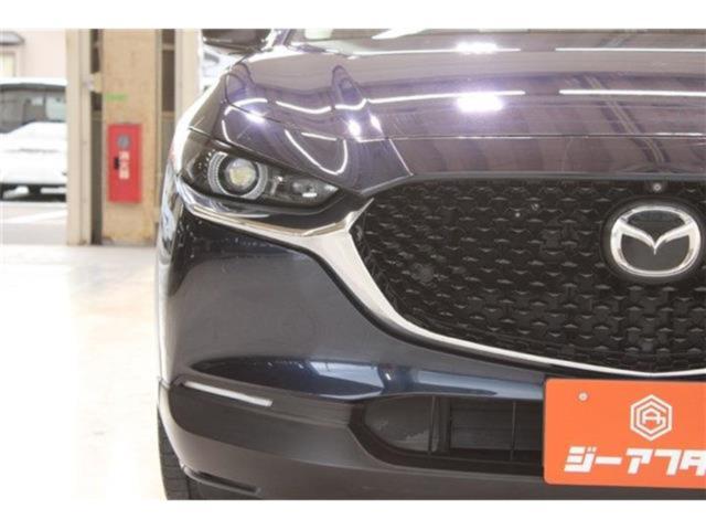 ＣＸ－３０（新潟県新潟市東区）画像14