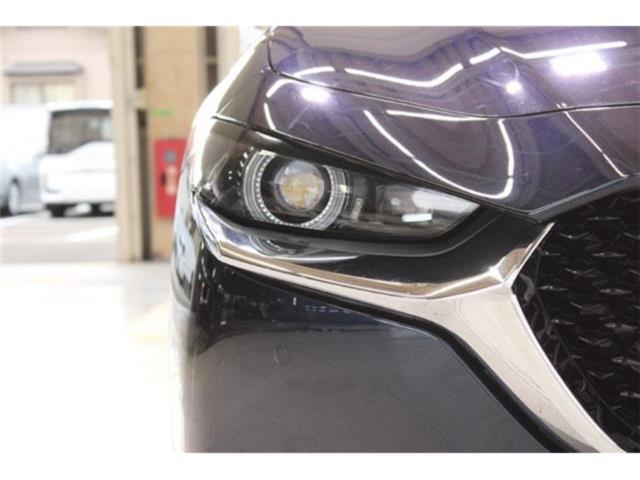 ＣＸ－３０（新潟県新潟市東区）画像15