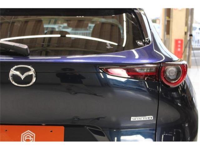 ＣＸ－３０（新潟県新潟市東区）画像18