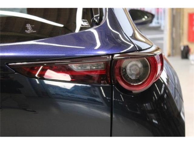 ＣＸ－３０（新潟県新潟市東区）画像19