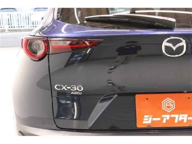 ＣＸ－３０（新潟県新潟市東区）画像20