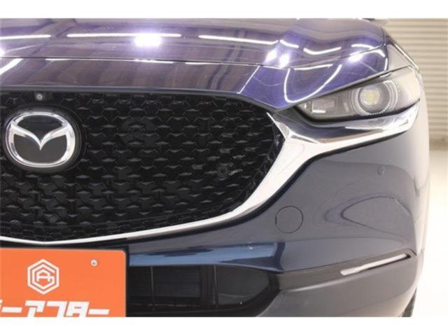 ＣＸ－３０（新潟県新潟市東区）画像24