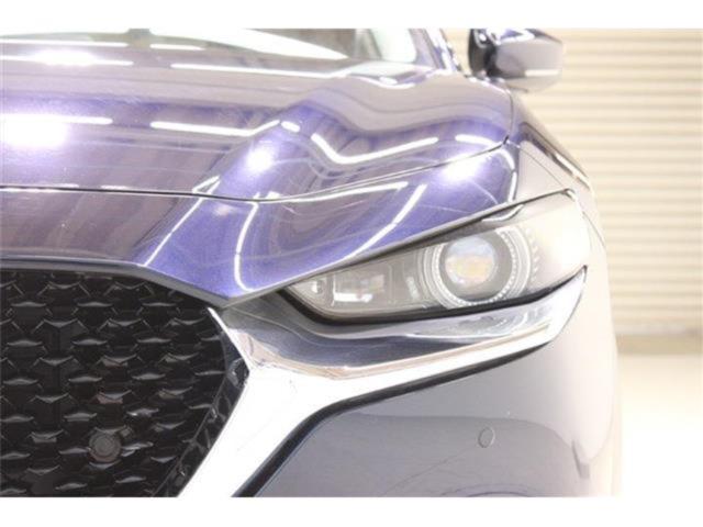 ＣＸ－３０（新潟県新潟市東区）画像25