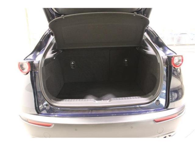 ＣＸ－３０（新潟県新潟市東区）画像32