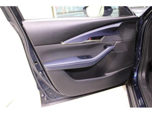 ＣＸ－３０（新潟県新潟市東区）画像36