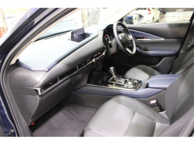 ＣＸ－３０（新潟県新潟市東区）画像44