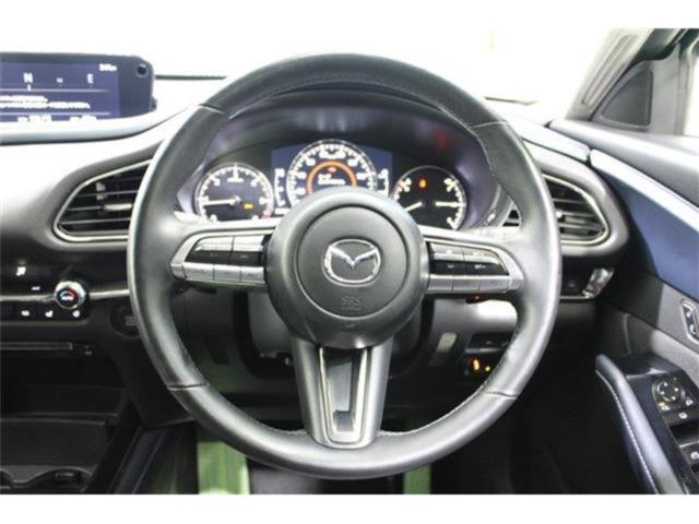 ＣＸ－３０（新潟県新潟市東区）画像46