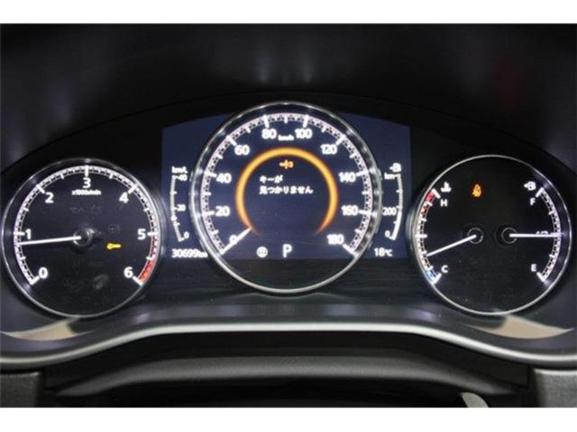 ＣＸ－３０（新潟県新潟市東区）画像51