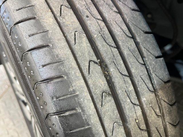 ルーミー(新潟県新潟市南区)