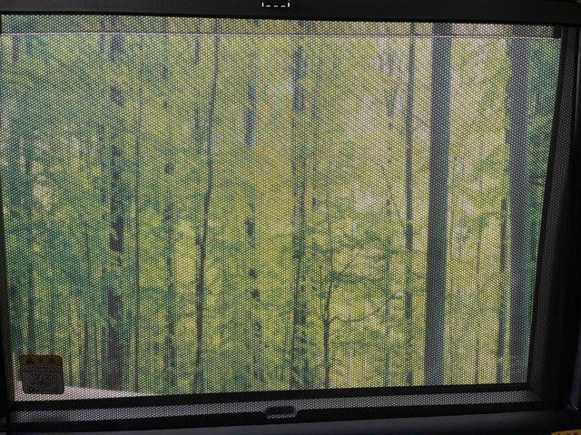 ルーミー（新潟県新潟市南区）画像43