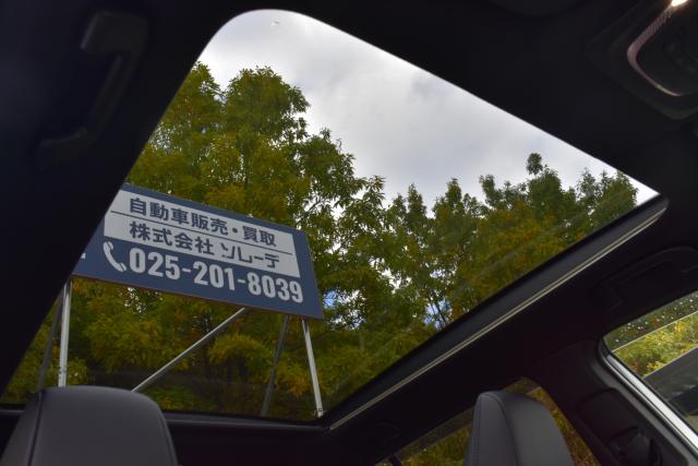 カローラクロス(新潟県新潟市西区)