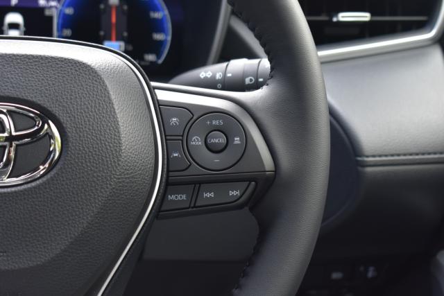 カローラクロス(新潟県新潟市西区)