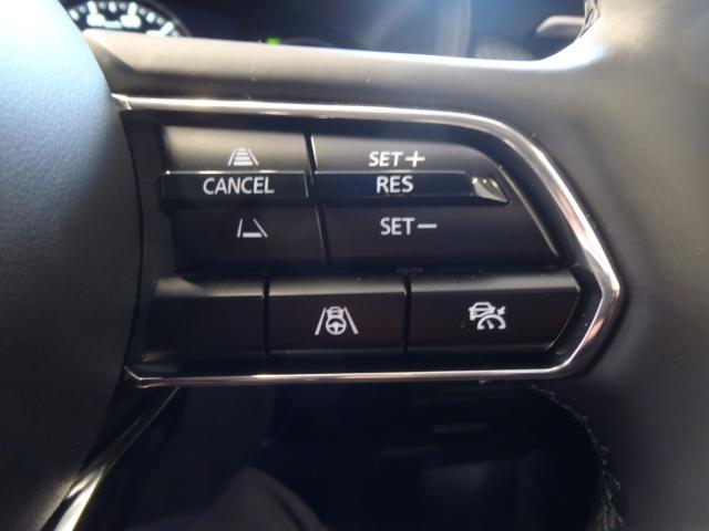 CX-60（新潟県新発田市）画像15