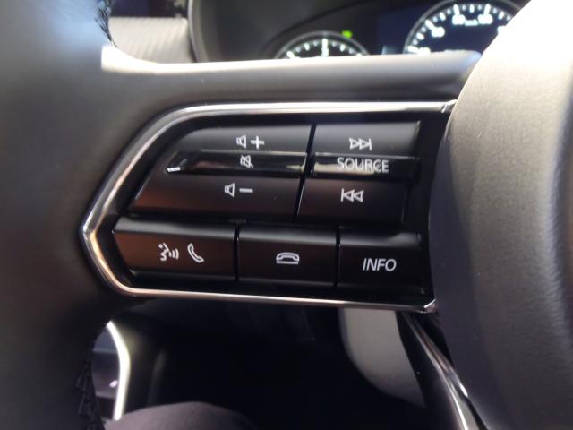 CX-60（新潟県新発田市）画像14