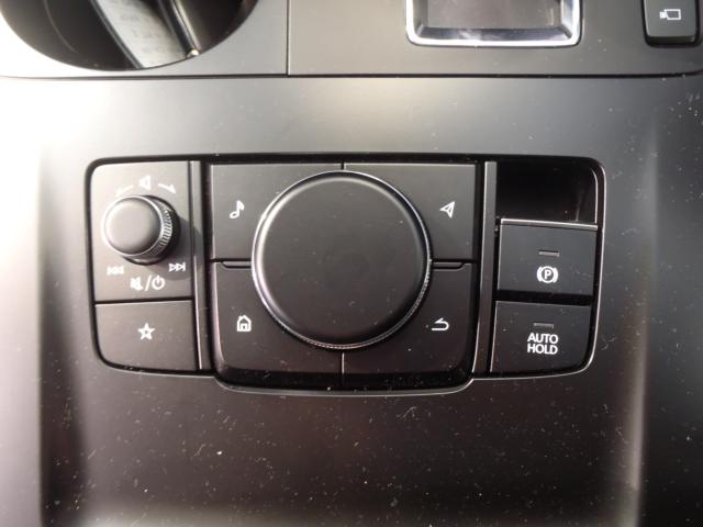 CX-60（新潟県新発田市）画像13