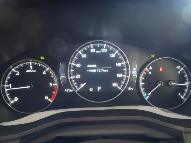 CX-60（新潟県新発田市）画像19