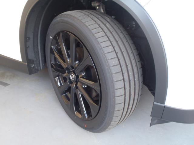 CX-60（新潟県新発田市）画像18