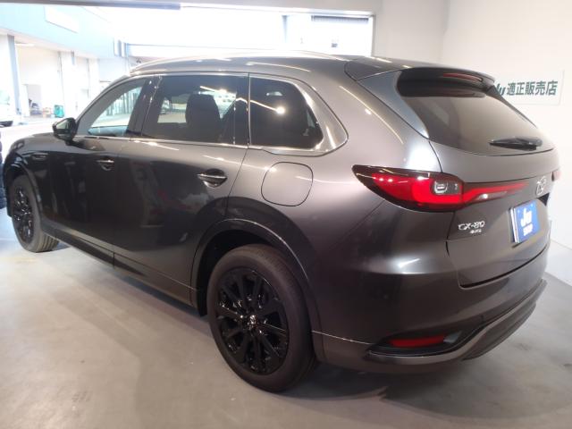 CX-80（新潟県新発田市）画像3