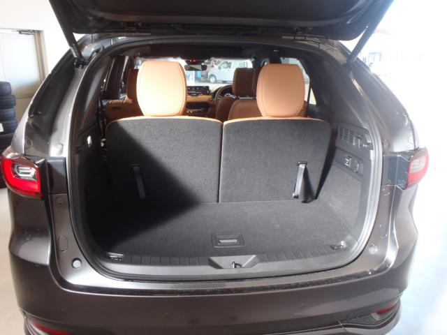 CX-80（新潟県新発田市）画像8