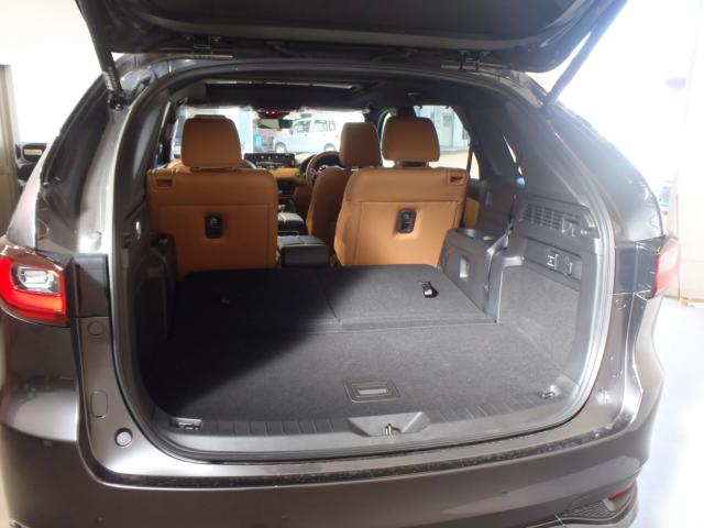 CX-80（新潟県新発田市）画像9