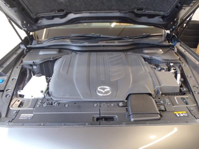 CX-80（新潟県新発田市）画像25