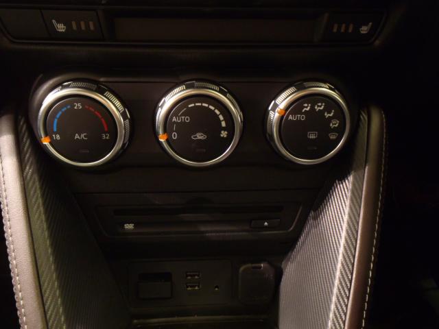 デミオ(新潟県新発田市)