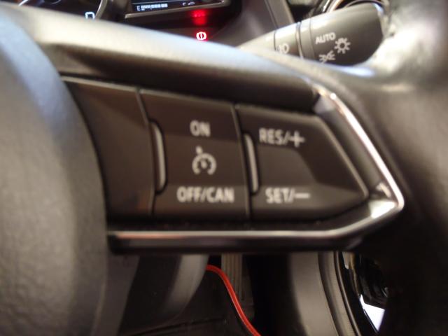 デミオ(新潟県新発田市)