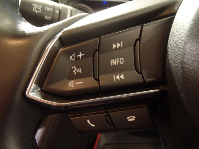 デミオ(新潟県新発田市)