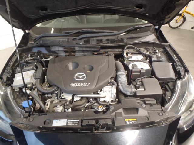 デミオ(新潟県新発田市)