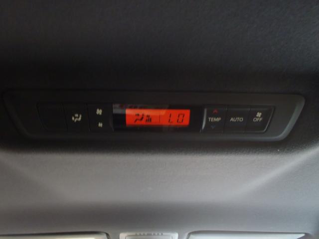 ヴォクシー（新潟県新発田市）画像22