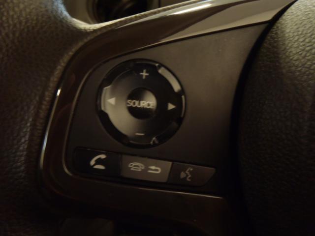 N_BOX(新潟県新発田市)