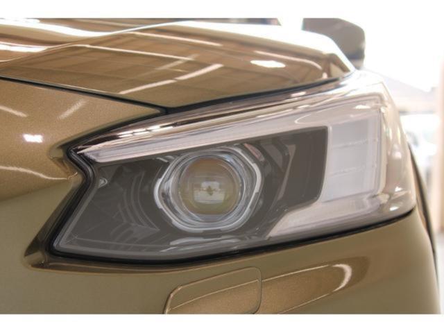 アウトバック(新潟県新潟市東区)