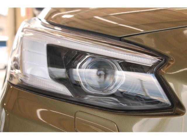 アウトバック(新潟県新潟市東区)