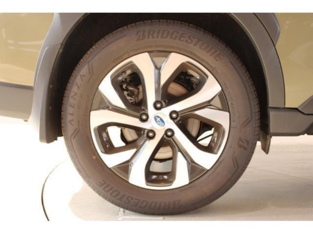 アウトバック(新潟県新潟市東区)