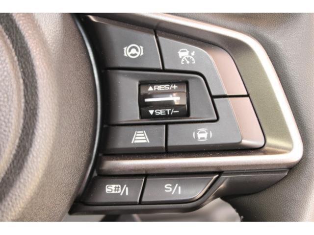 アウトバック(新潟県新潟市東区)