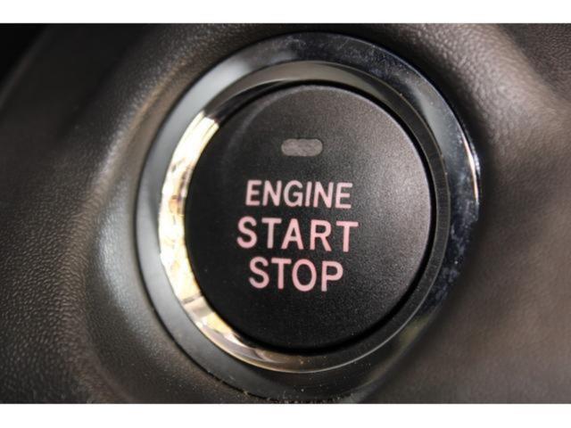 アウトバック(新潟県新潟市東区)