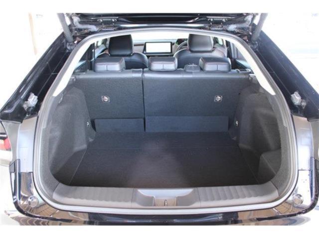 プリウス(新潟県新潟市東区)