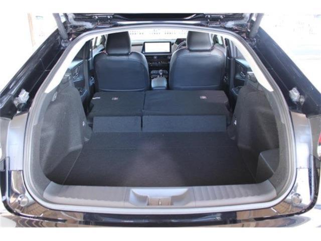 プリウス(新潟県新潟市東区)